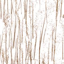 rice grass